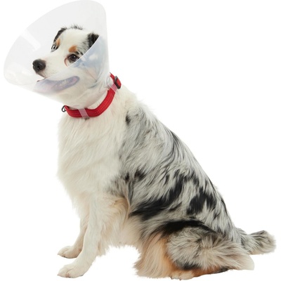 Kruuse Buster Classic Collar Plastový ochranný límec pro psy, 7,5 cm