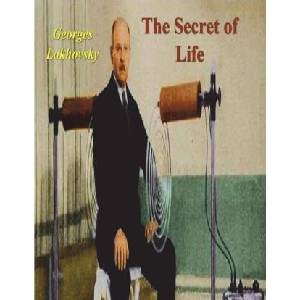 The Secret of Life (ISBN: 9781773239088)