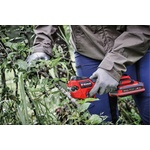 Einhell Ножица за клони Einhell GP-LS 18/28 Li T BL-Solo, черна, червена (3408330)