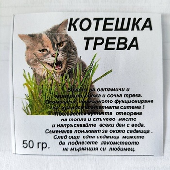 Трева за котки 50грама