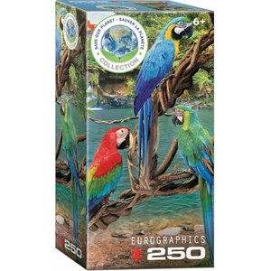 EUROGRAPHICS - Puzzle Macaws - 250 piese