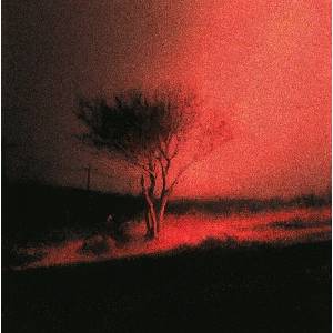 Joji - Piss In The Wind (CD) (0198704742835)