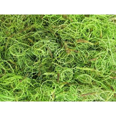 Heembloemex Deco Tamarind vlákno zelené 500 g