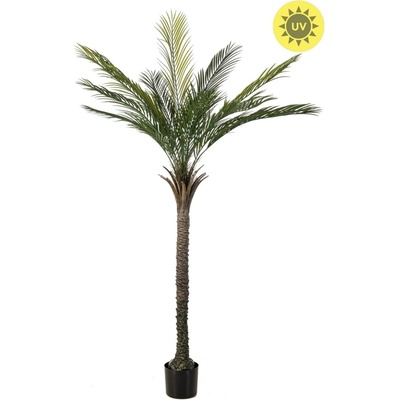 Umělá Palma Phoenix venkovní, 180cm