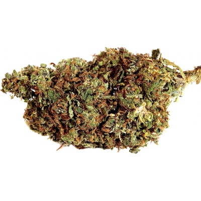 Drskunk OG Kush 12%HHC-PO + 15%H4CDB neobsahuje THC 1 g – Sleviste.cz