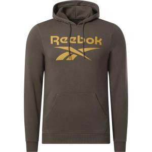 Reebok Суитшърт RI FT Big Logo OTH Hood