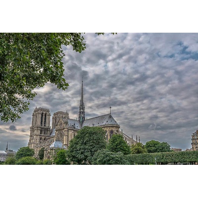 DIMEX ART Флизелинов фототапет парижка катедрала 375 x 250 см