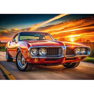 Dino - Puzzle Firebird 69 at sunset XL - 100 piese