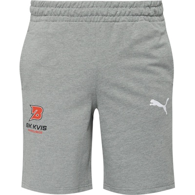 PUMA Teamgoal casuals shorts s