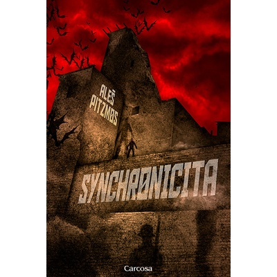 Synchronicita - Aleš Pitzmos kniha: Bez podpisu