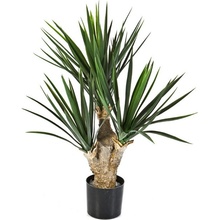 Luxusní umělá palma BABY YUCCA x 3, 68 cm