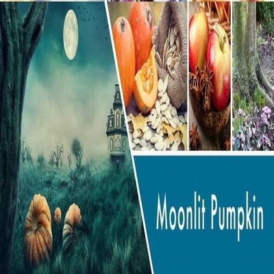 Goose Creek Candle HELLOWEEN MOONLIT PUMPKIN 450 g