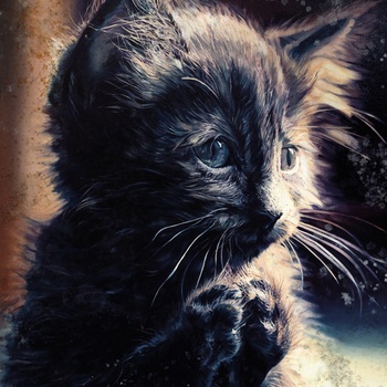 Perzeptiverdampfkesselqualmtbesinnlich - Pussy Disco (CD) (f630fad1-9d56-437b-a6dc-21dbad46b5c7)