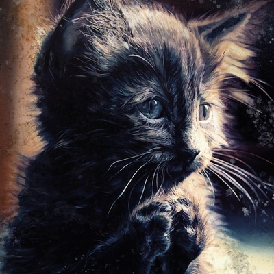 Perzeptiverdampfkesselqualmtbesinnlich - Pussy Disco (CD) (f630fad1-9d56-437b-a6dc-21dbad46b5c7)