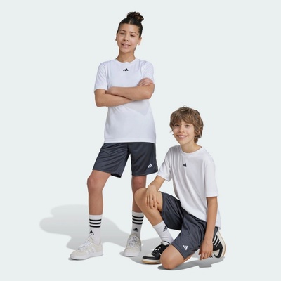 adidas Train Essentials Logo Regular Fit kids bílá|šedá