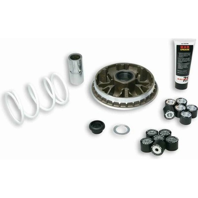 MALOSSI Multivar 2000 Variátor Honda 5114192