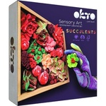 OKTO Passion Комплект за моделиране на изкуство сукуленти в дървена рамка 21x21 см (034377)