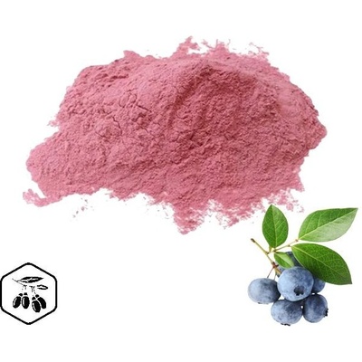 LifeChi Borůvka (Blueberry) extrakt v prášku 50 g