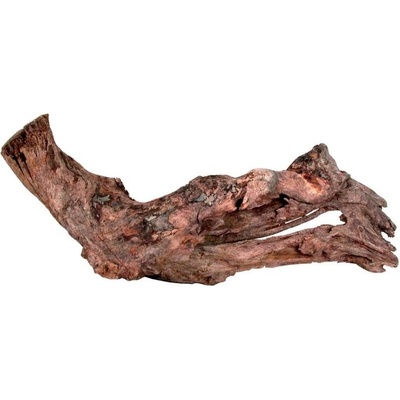 Zolux kořen Mangrove 15/25 cm