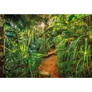 Tapety Komar 8-989 Fototapeta Jungle Trail rozměr 368 cm x 254 cm
