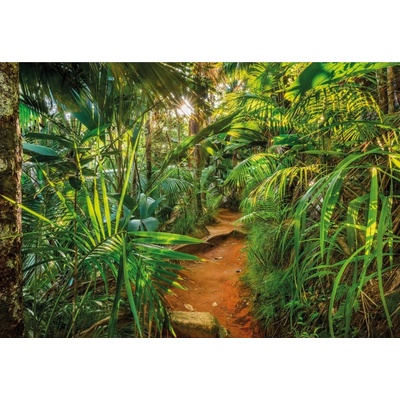 Komar 8-989 Fototapeta Jungle Trail rozměr 368 cm x 254 cm