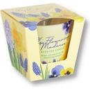 Bartek Candles The Flowering Madness - Fresh Aroma Of Spring blooming Flowers 115 g