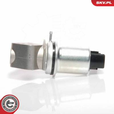 AGR - Ventil ESEN SKV 14SKV016