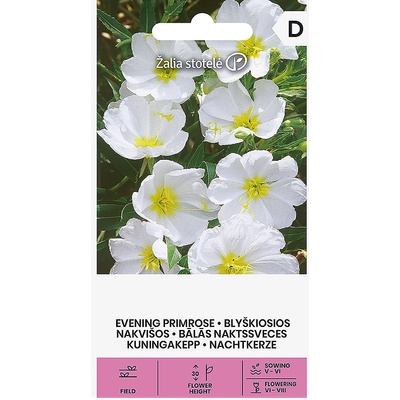 Seklos Вечерна Бяла Иглика Oenothera pallida