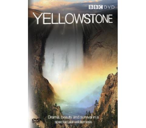 Yellowstone DVD