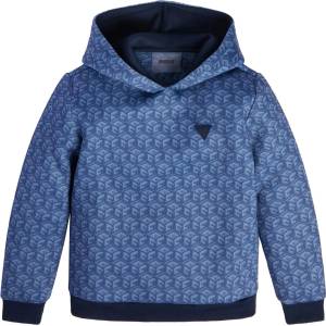 GUESS Двуцветен суичър с качулка за момче Guess