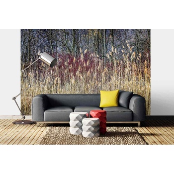DIMEX ART s. r. o Самозалепваща се флизелинова фототапета зимни тръстики 375 x 250 см