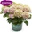 Magical® Jewel Pink - Magical® Хортензия Мacrophylla