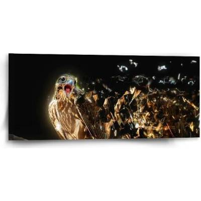 Sablio Obraz Dravec - 110x50 cm