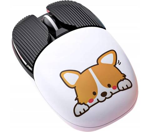 DSJ A10 CORGI