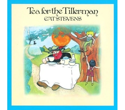 STEVENS CAT: TEA FOR THE TILLERMAN CD