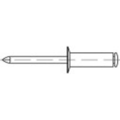 TOOLCRAFT 1070272 trhacie nit (Ø x d) 5 mm x 16 mm nerezová ocel 500 ks