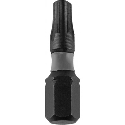 Dedra T25 x 25 mm 2 ks 18A53T250-02