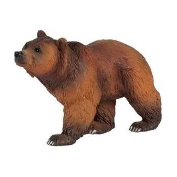 Papo - Фигурка за колекциониране и игра - Кафява мечка (50032)