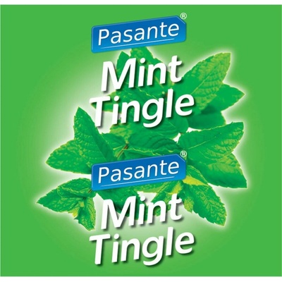 Pasante Mint Tingle 144 ks