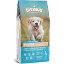 Divinus Puppy 4 kg