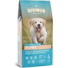 Divinus Puppy 4 kg