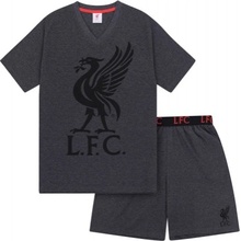 Fan Store FC Liverpool pyžamo krátké tmavě šedé