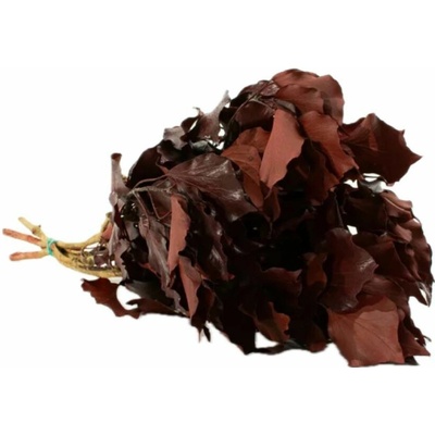 Stabilizovaný brečtan Burgundy - červený