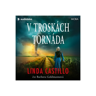 V troskách tornáda