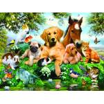 SunsOut - Puzzle Summer Pals 500 XXL - 500 piese
