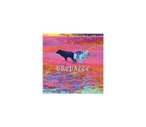 DMS - Prepáčte CD