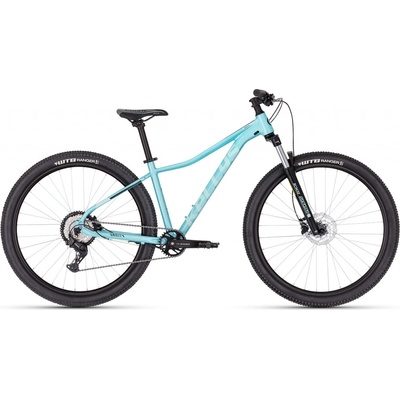 Kellys Vanity X50 2025