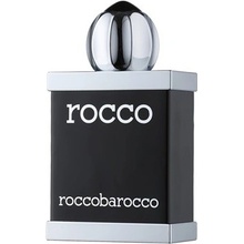 Roccobarocco Rocco Black toaletní voda pánská 100 ml