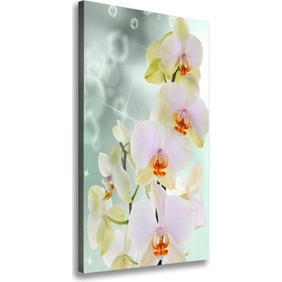 Vertikálny foto obraz na plátne do obývačky Orchidea 50x100 cm