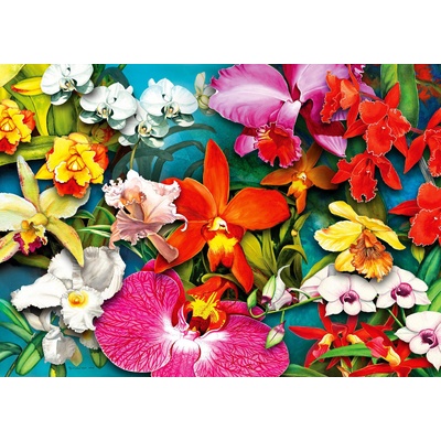 Enjoy - Puzzle Orchid Jungle - 1 000 piese